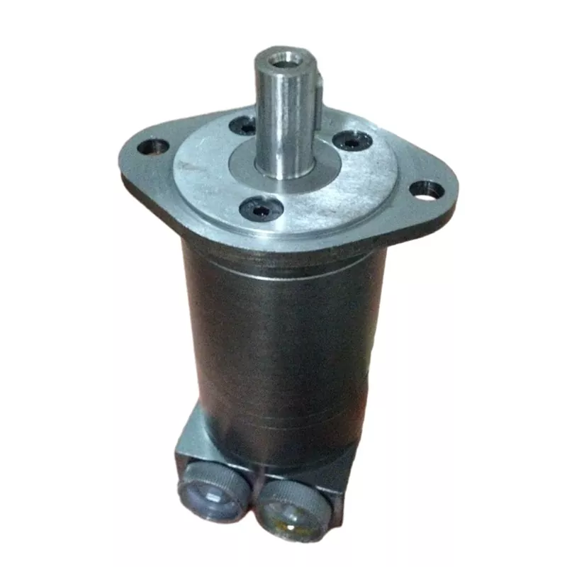 50 RPM ម៉ូទ័រធារាសាស្ត្រដែលមានកម្លាំងបង្វិលខ្ពស់ល្បឿនទាប